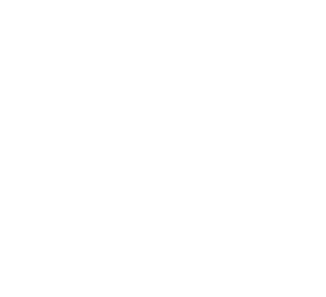 NZIE® On Demand - All courses