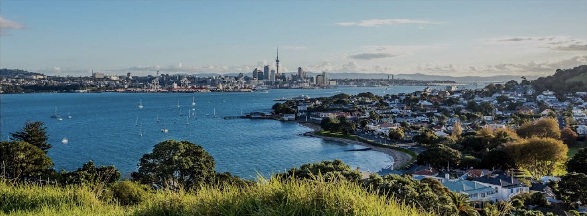 4 tips to help you settle in New Zealand fast NZIE