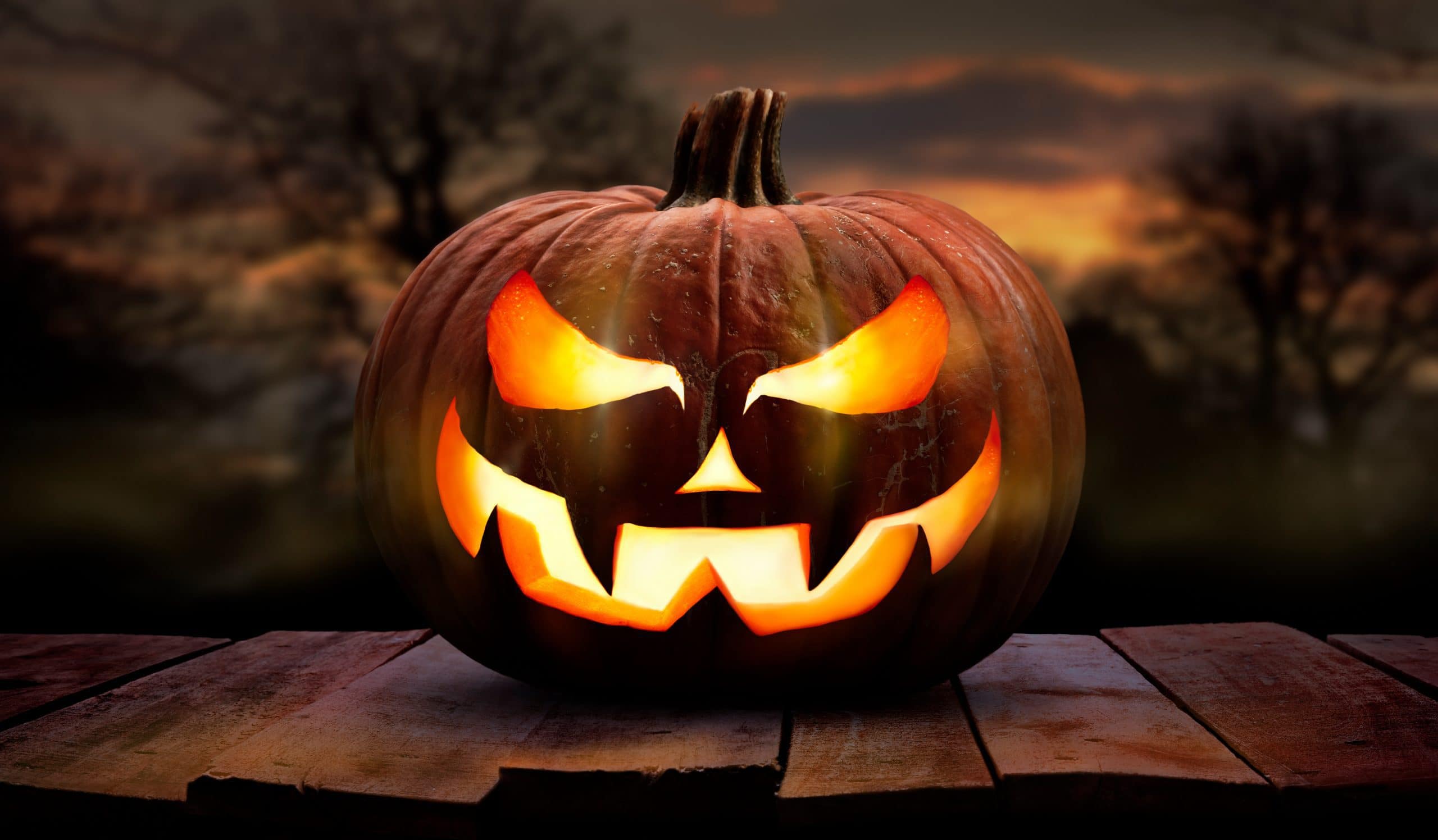 One spooky halloween pumpkin, Jack O Lantern, with an evil face and eyes on a wooden bench 