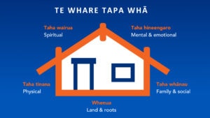 wellbeing model Te Whare Tapa Wha
