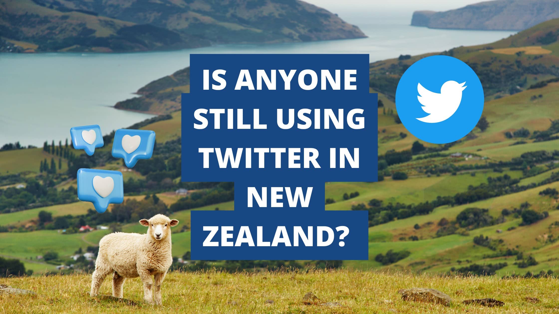 Is anyone still using Twitter in New Zealand?